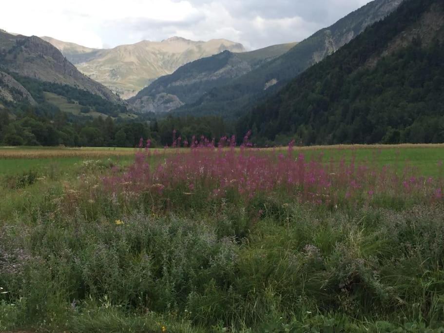 Appart Tres Ensoleille 5-6 Pers Au Pied Des Pistes Ancelle Kültér fotó